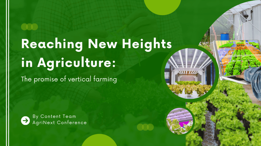 Reaching New Heights  in Agriculture: The promise of vertical farming