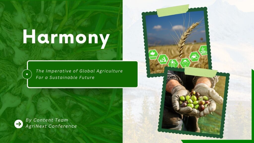 Harvesting Harmony: The Imperative of Global Agriculture For a Sustainable Future