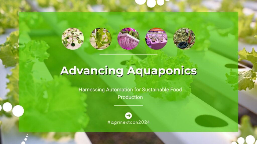 Advancing Aquaponics: “Harnessing Automation for Sustainable Food Production”