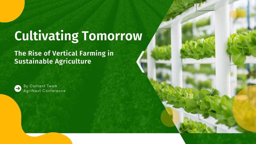 Cultivating Tomorrow: The Rise of Vertical Farming in Sustainable Agriculture