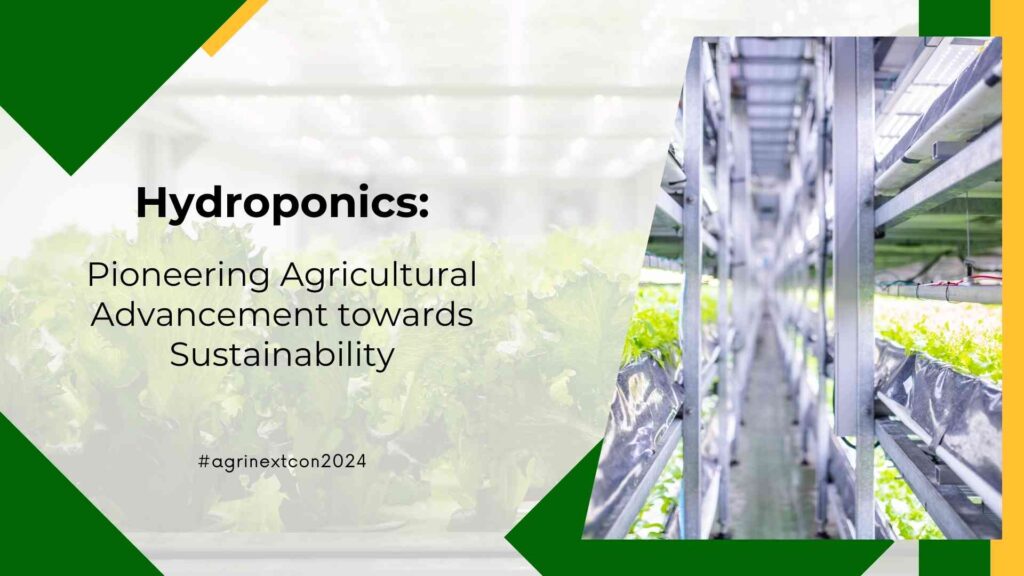 Hydroponics: Pioneering Agricultural Advancement towards Sustainability
