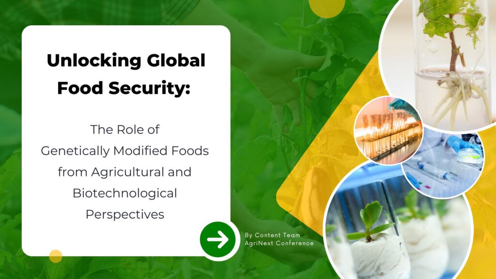 Unlocking Global Food Security: The Role of Genetically Modified Foods from Agricultural and Biotechnological Perspectives