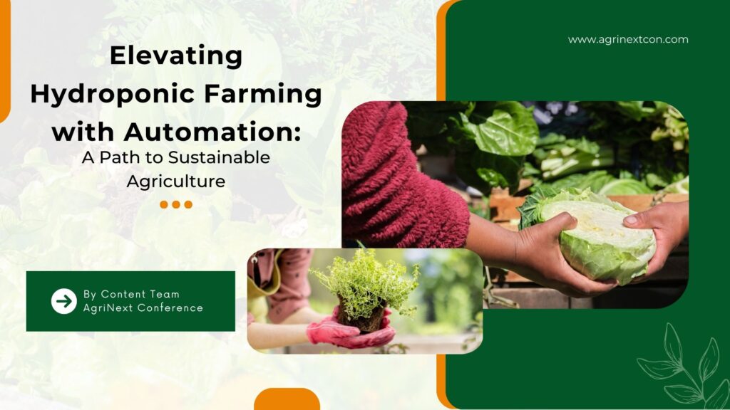 Elevating Hydroponic Farming with Automation: A Path to Sustainable Agriculture