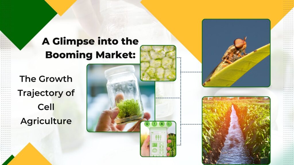 A Glimpse into the Booming Market: The Growth Trajectory of Cell Agriculture