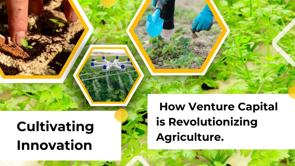 Cultivating Innovation: How VentureCapital is Revolutionizing Agriculture.