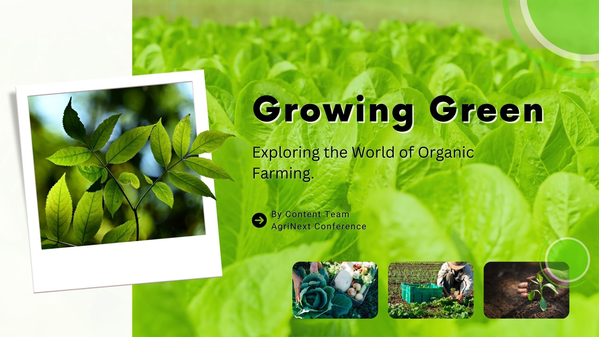 "Growing Green: Exploring the World of Organic Farming"