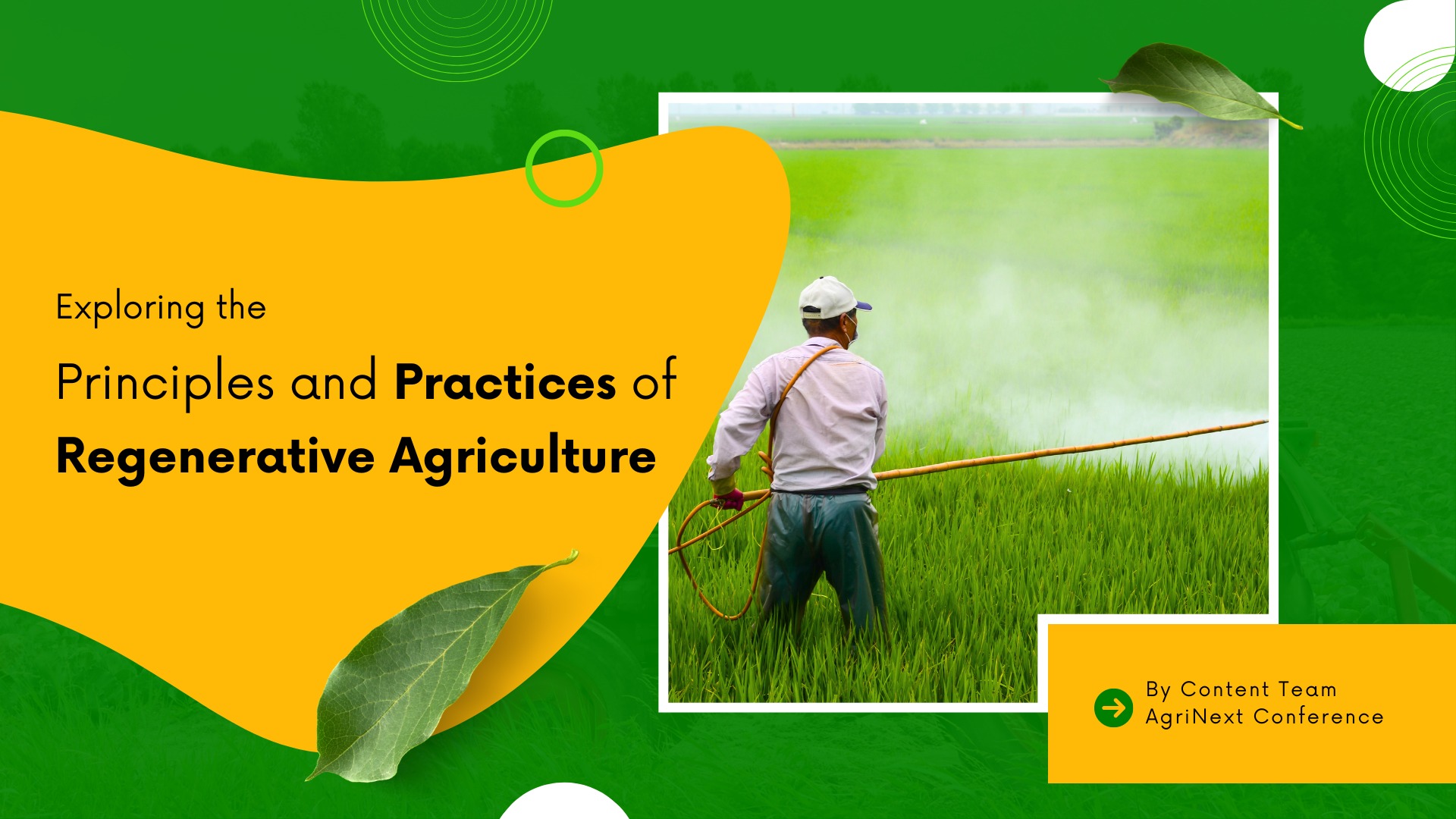 Exploring the Principles and Practices of Regenerative Agriculture