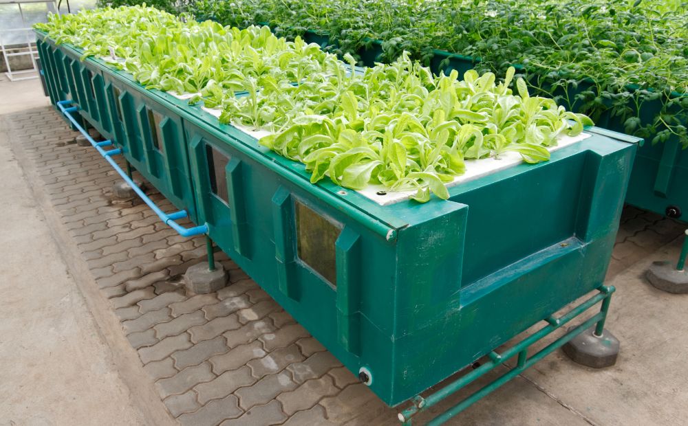 Aeroponics Systems