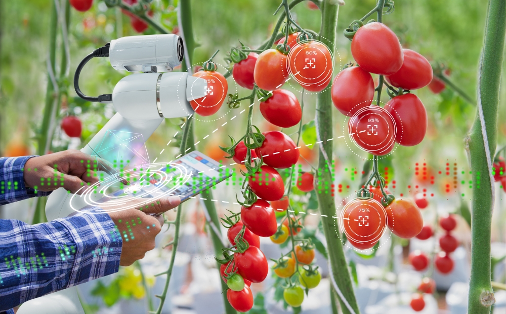 International Agriculture Consulting