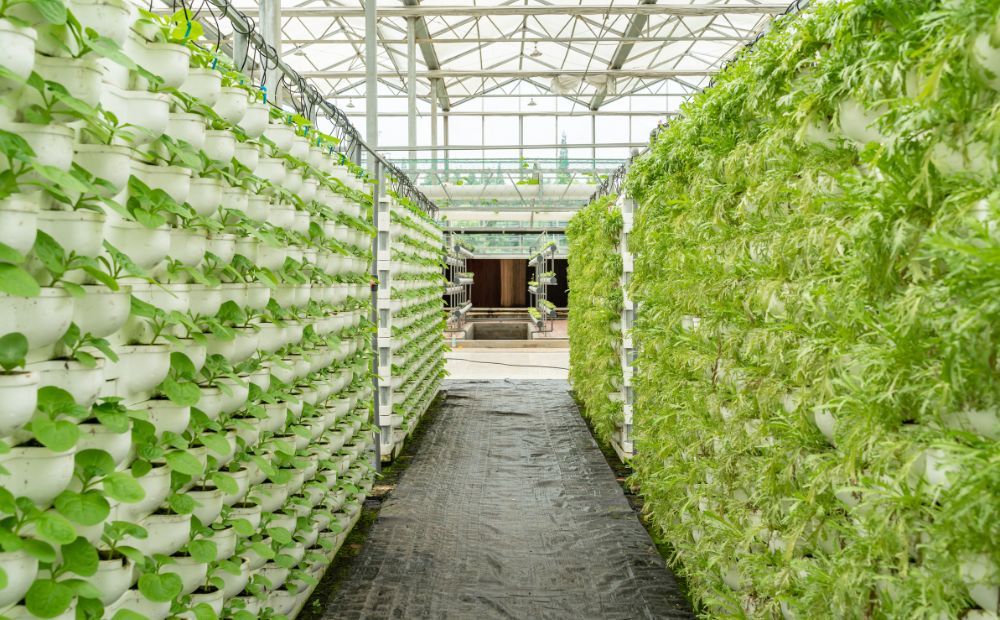 Container Farming