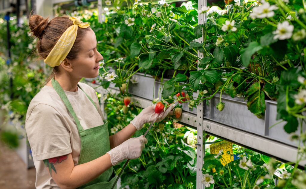 Vertical Farming