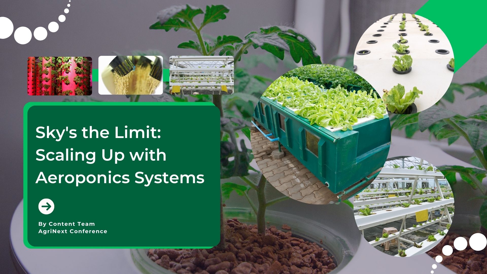 Sky's the Limit: Scaling Up with Aeroponics Systems