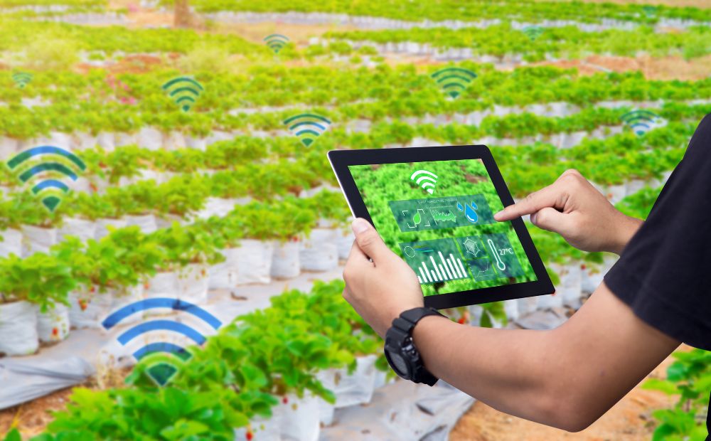 Vertical Farming Research