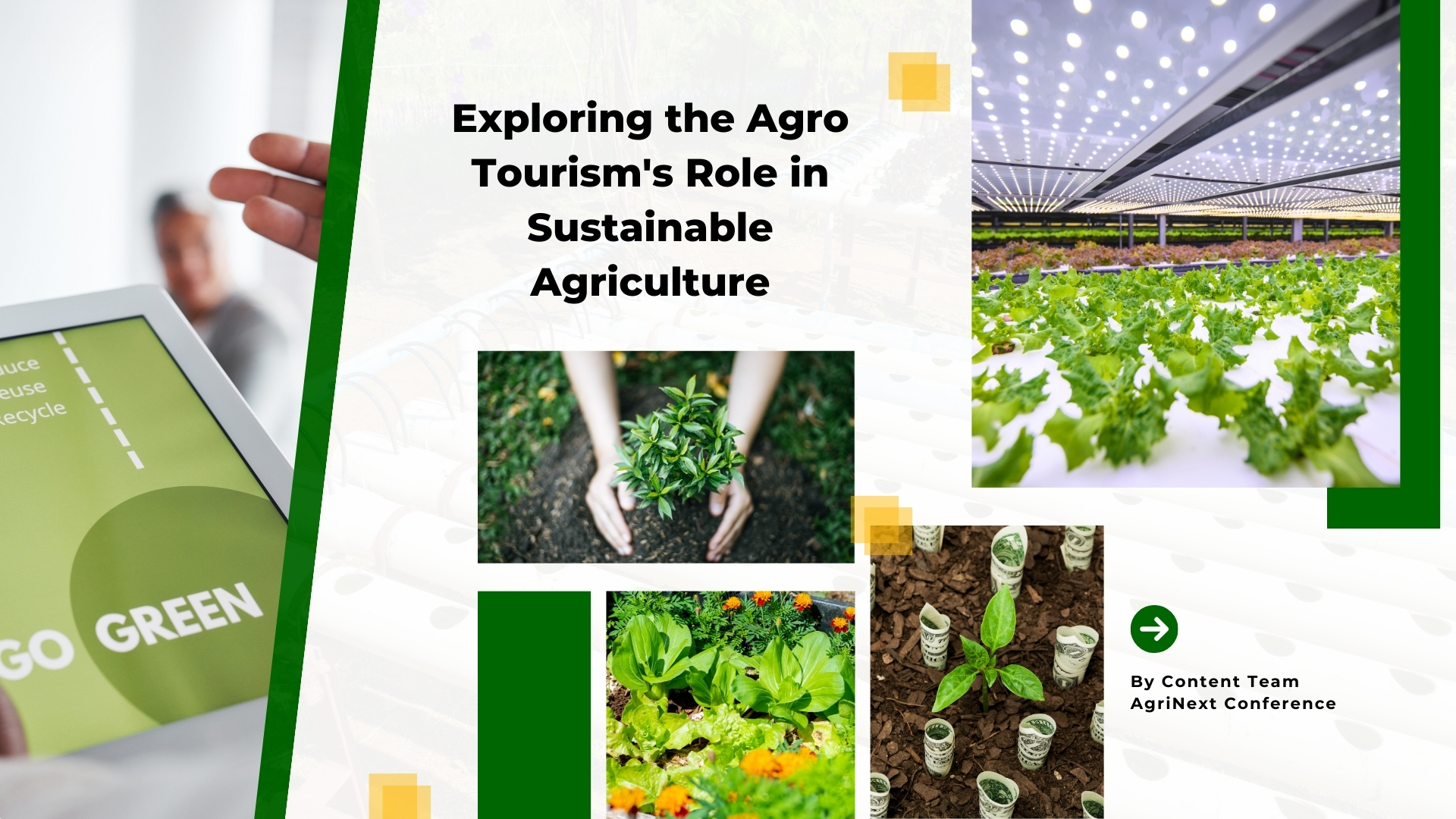 Exploring the Agro Tourism's Role in Sustainable Agriculture