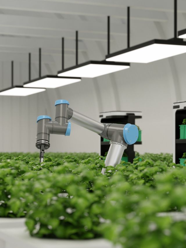 Agritech startups