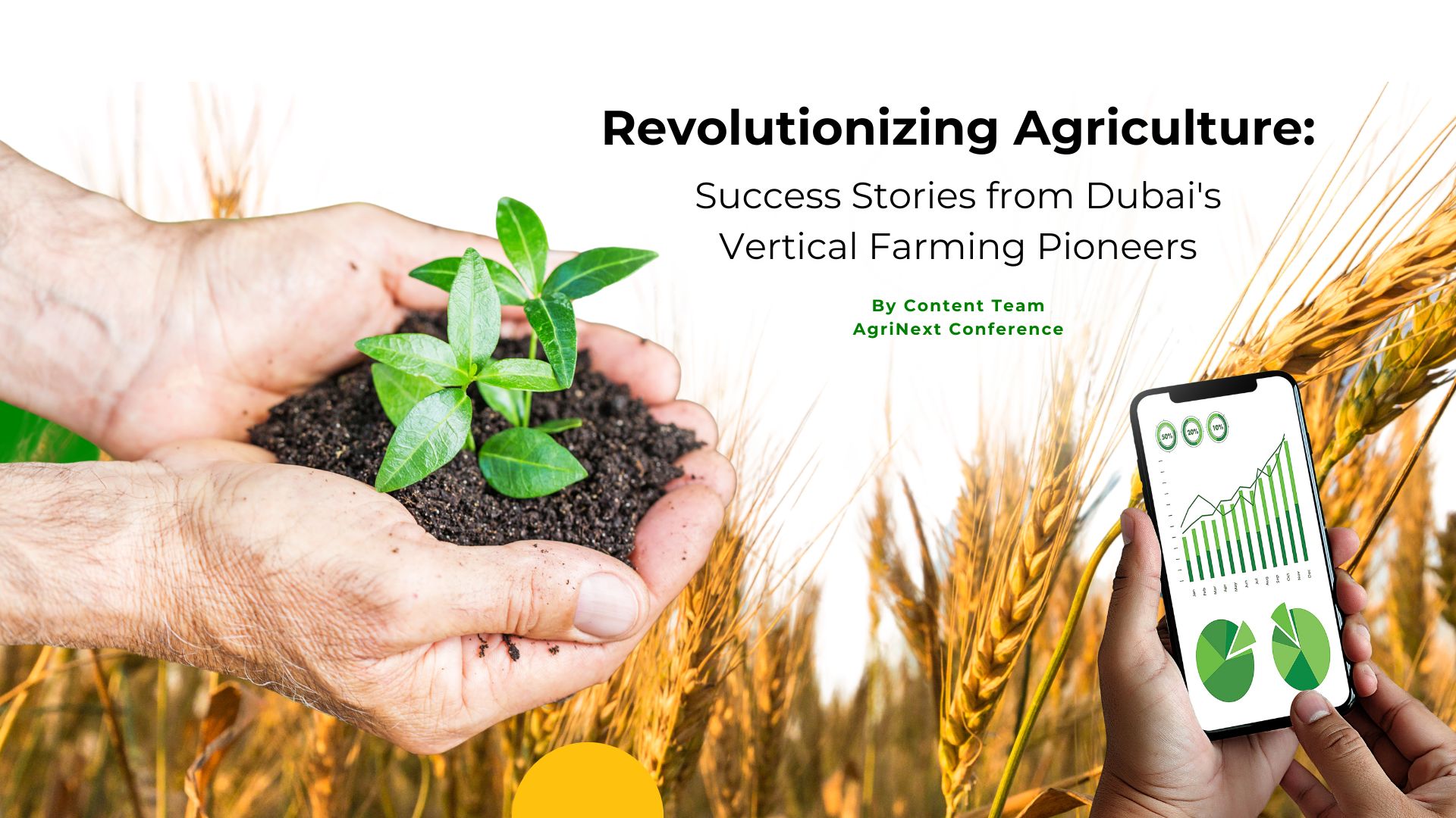 Revolutionizing Agriculture: Success Stories from Dubai's Vertical Farming Pioneers