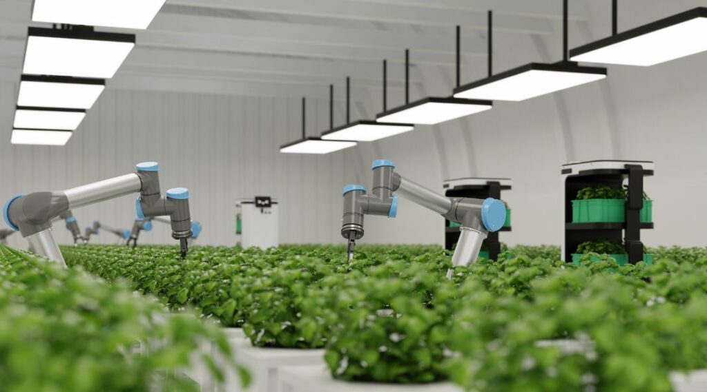 Regenerative Agriculture