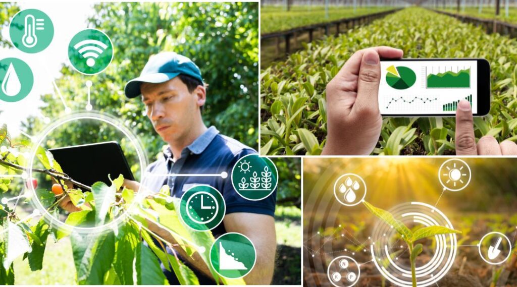 Smart Pest Control: