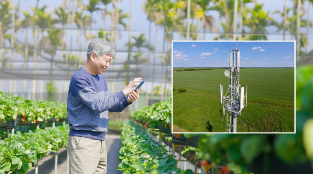 cellular agriculture