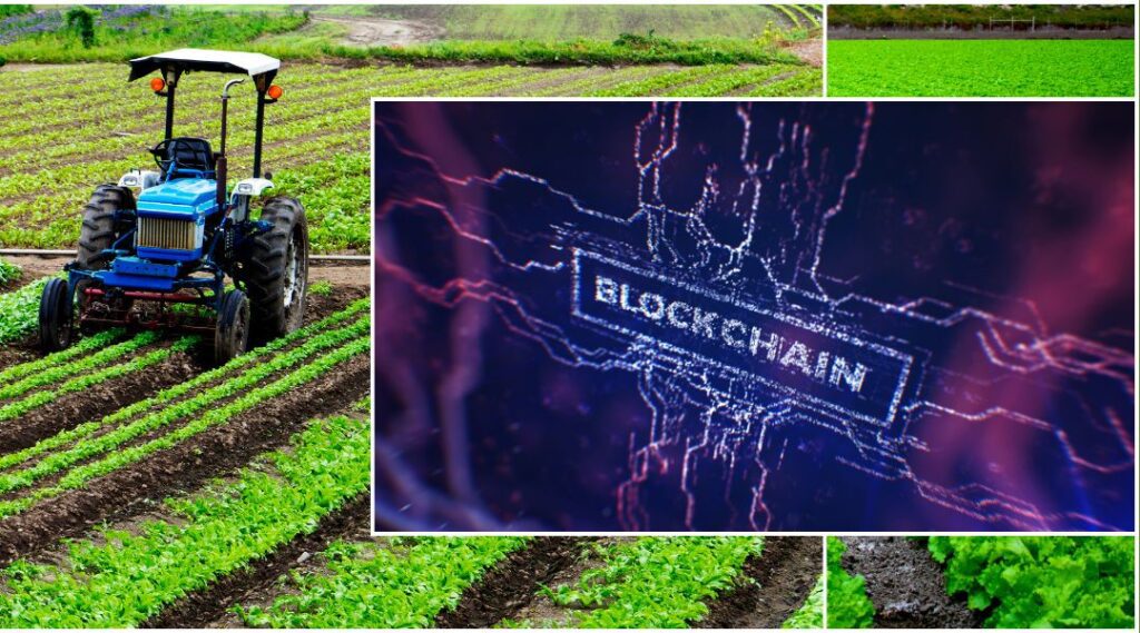 blockchain technology