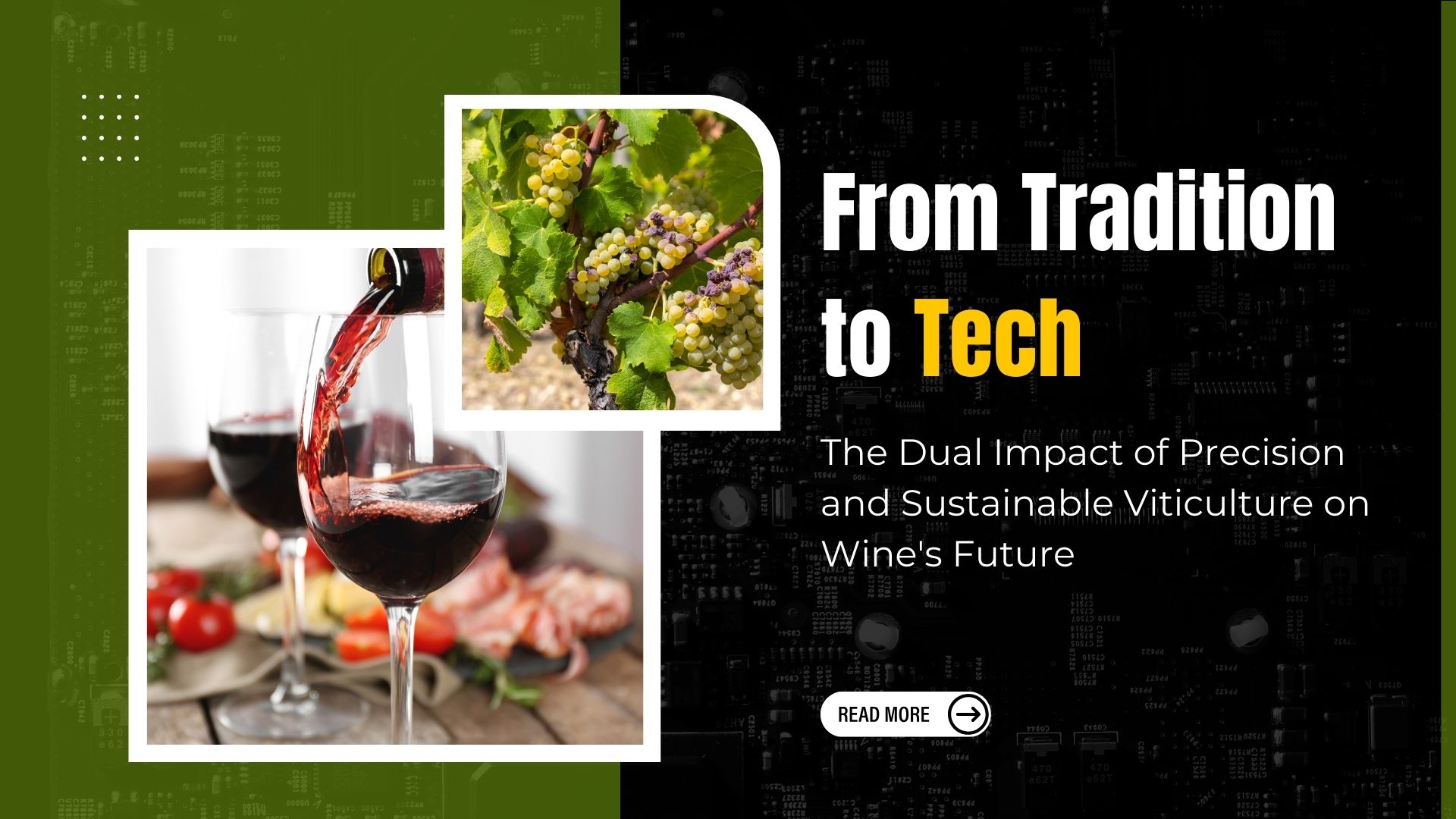 From Tradition to Tech: The Dual Impact of Precision and Sustainable Viticulture on Wine's Future