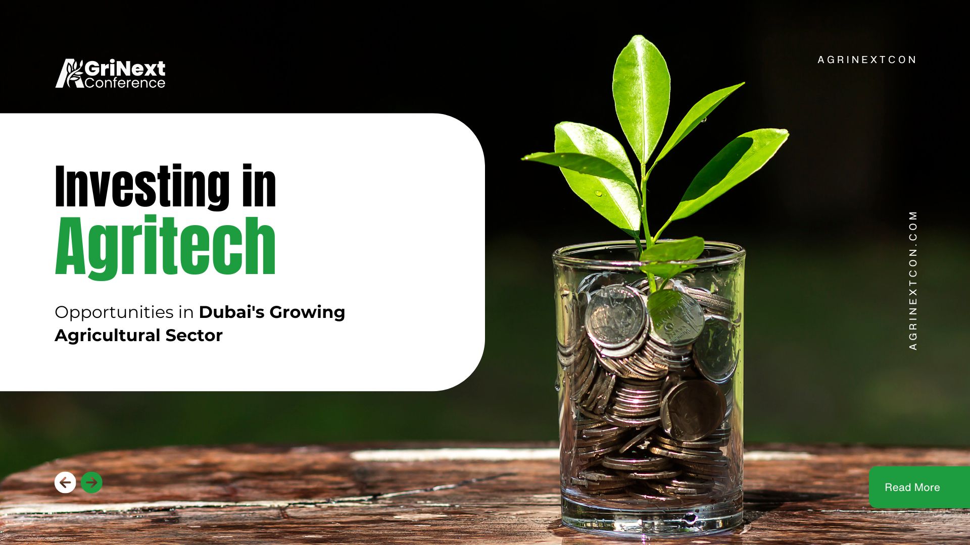Investing in Agritech: Opportunities in Dubai's Growing Agricultural Sector
