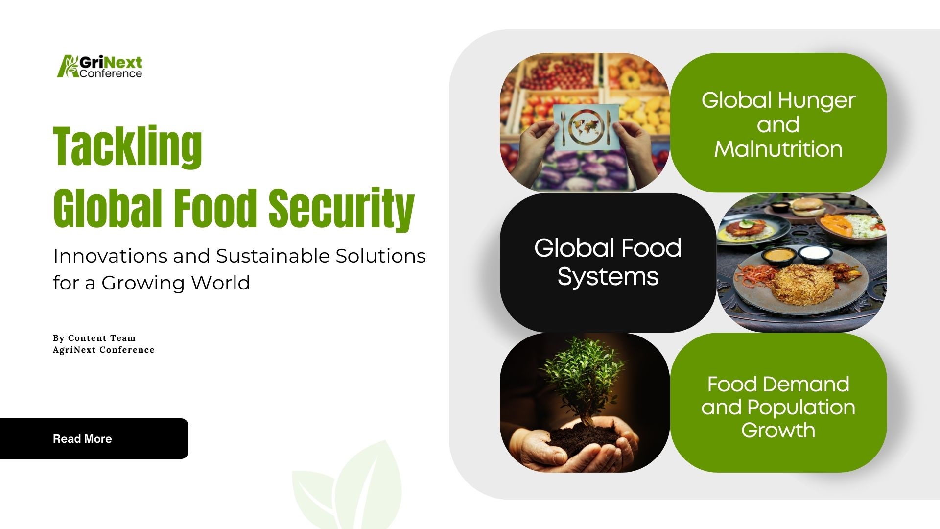 Tackling Global Food Security: Innovations and Sustainable Solutions for a Growing World