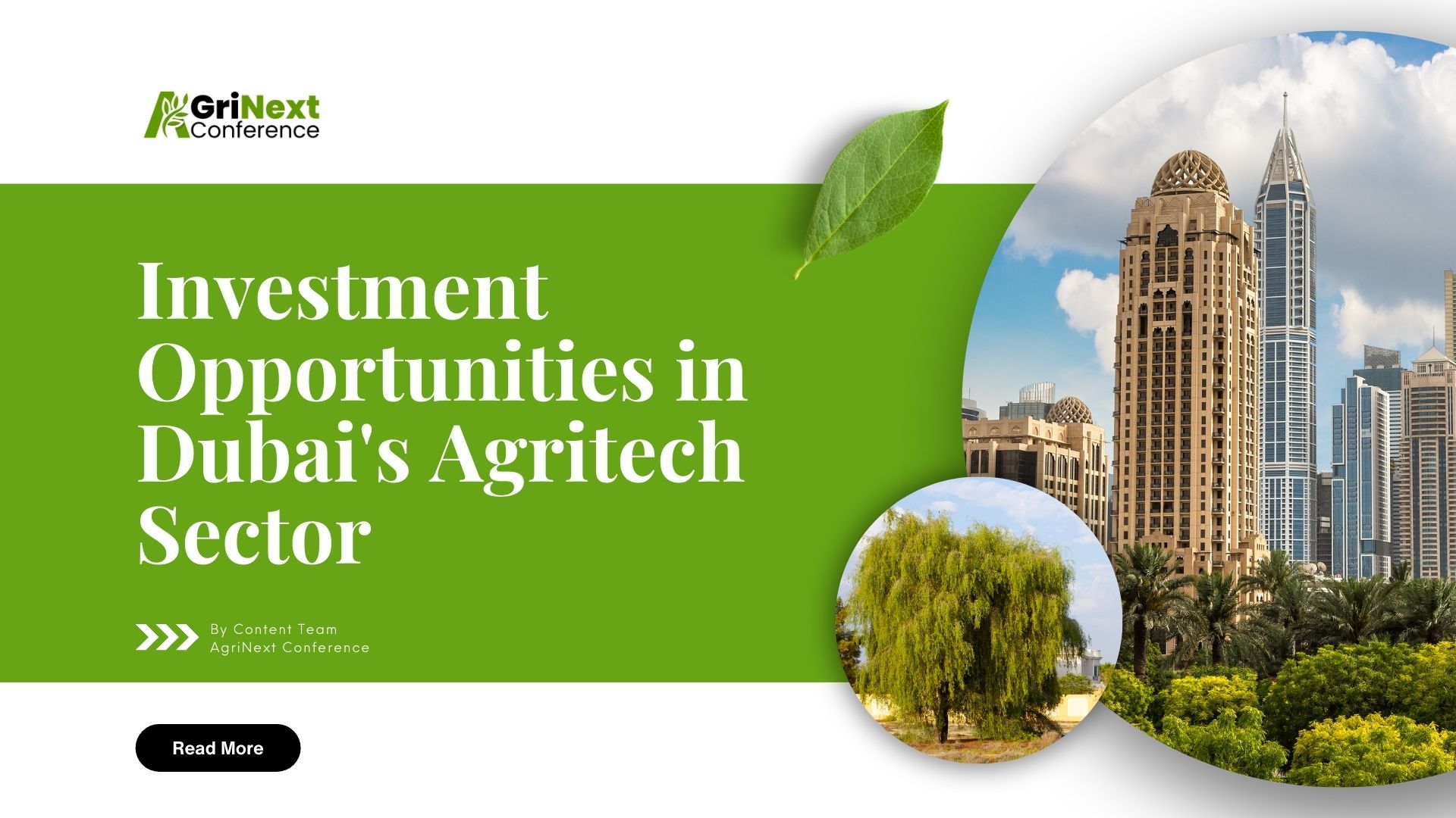 Investment Opportunities in Dubai's Agritech Sector