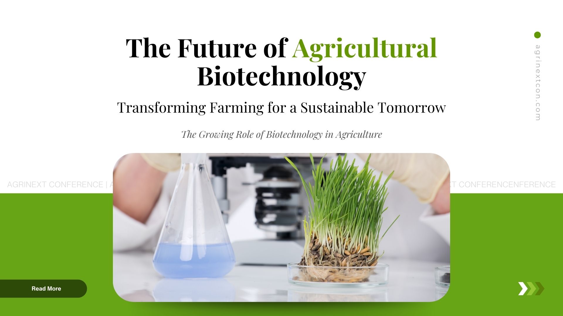 The Future of Agricultural Biotechnology: Transforming Farming for a Sustainable Tomorrow