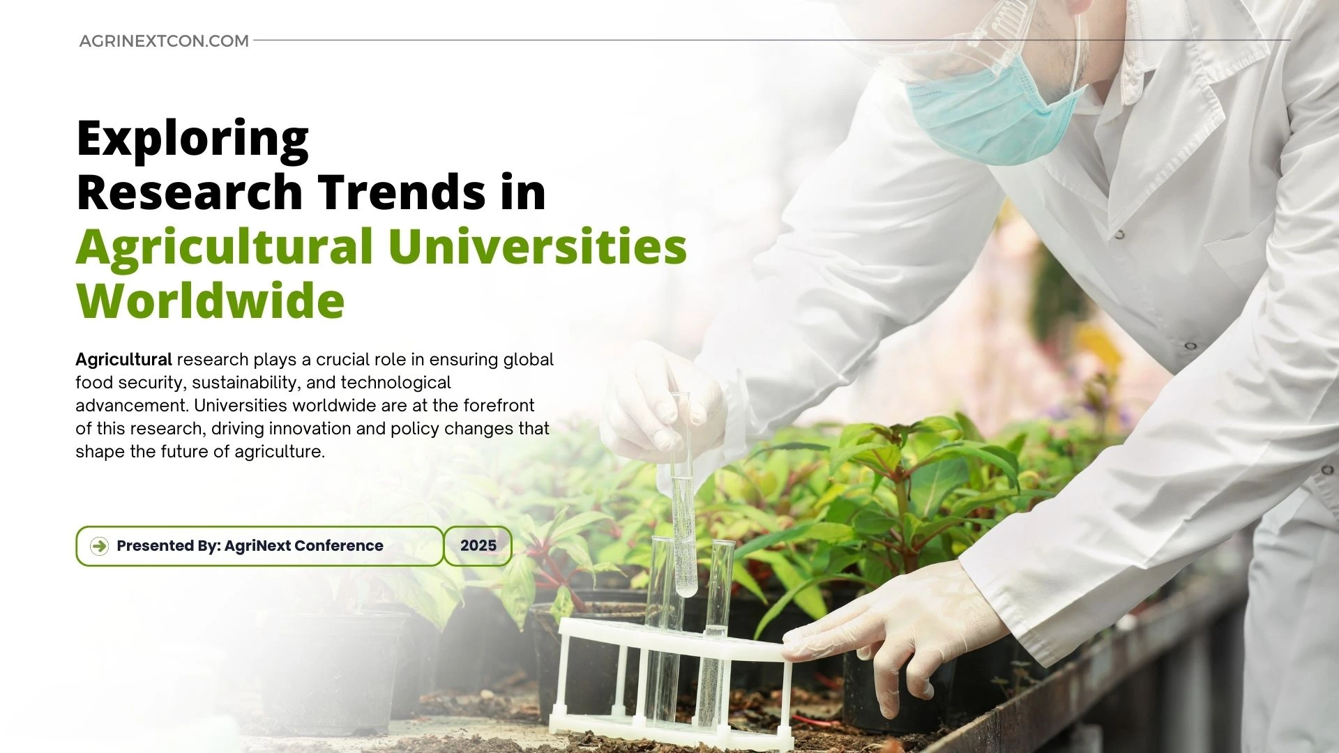 Exploring Research Trends in Agricultural Universities Worldwide
