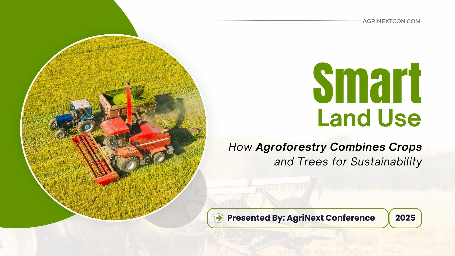 Smart Land Use: How Agroforestry Combines Crops and Trees for Sustainability