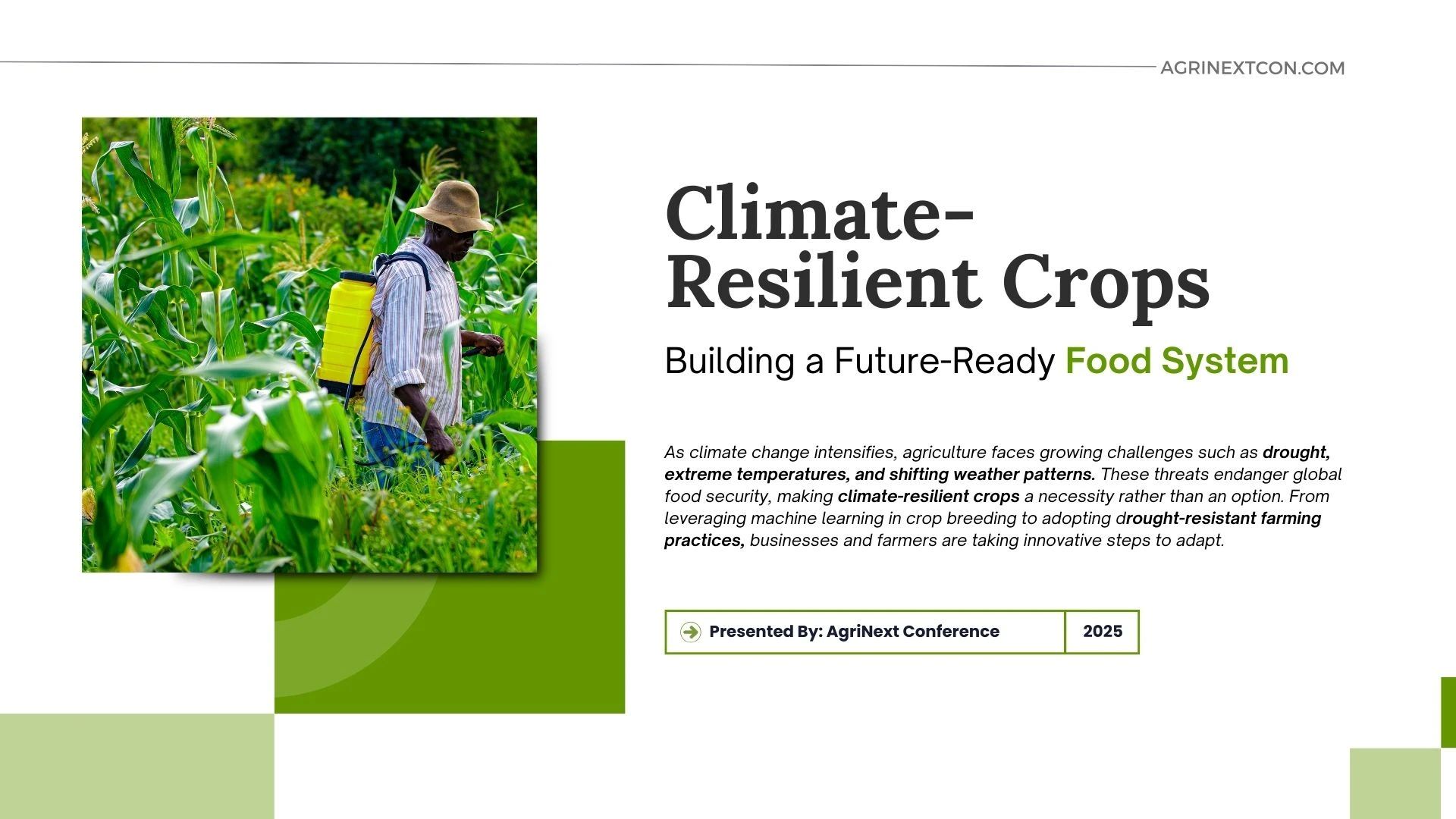 Climate-Resilient Crops: Building a Future-Ready Food System