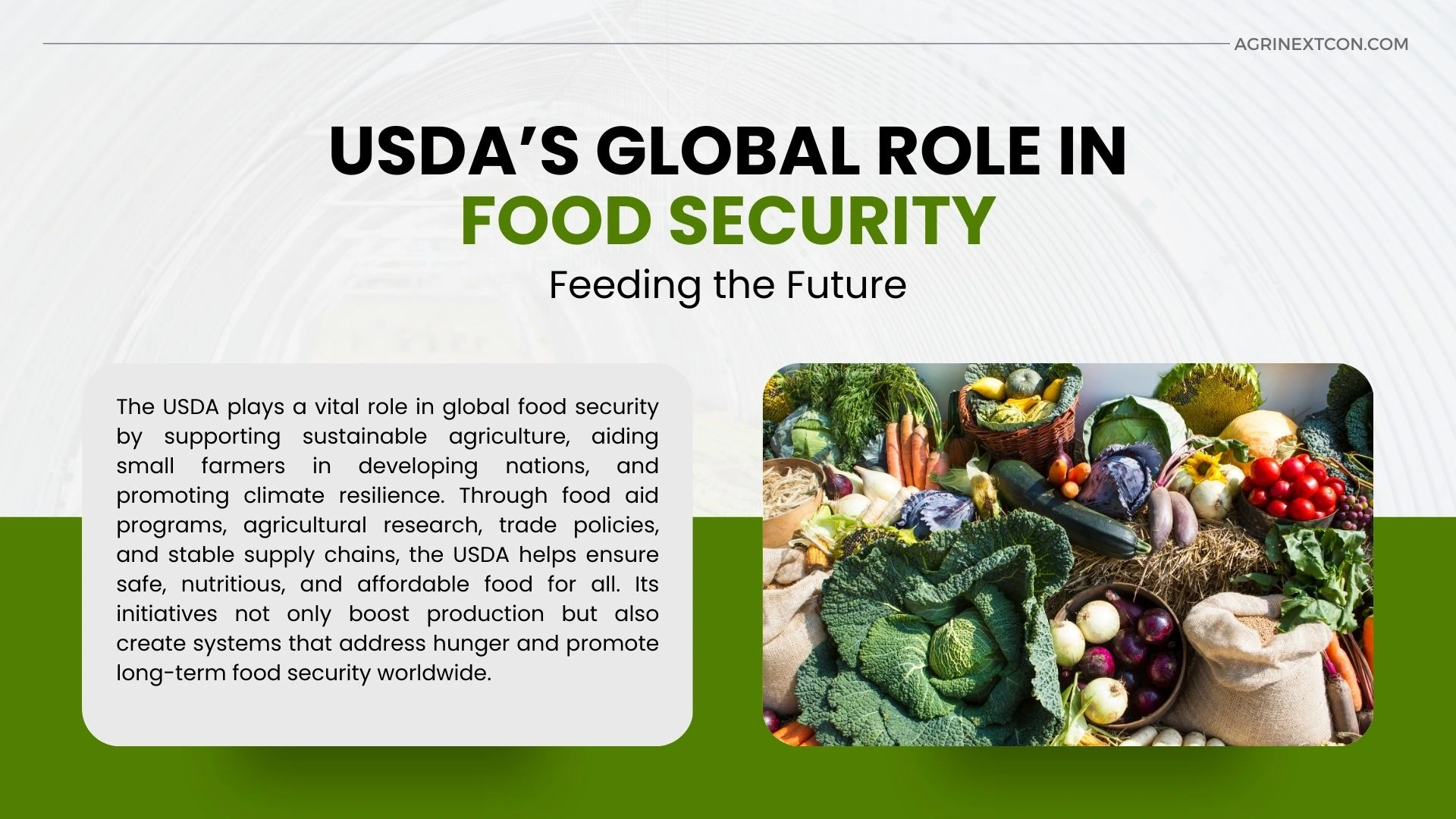 USDA’s Global Role in Food Security: Feeding the Future