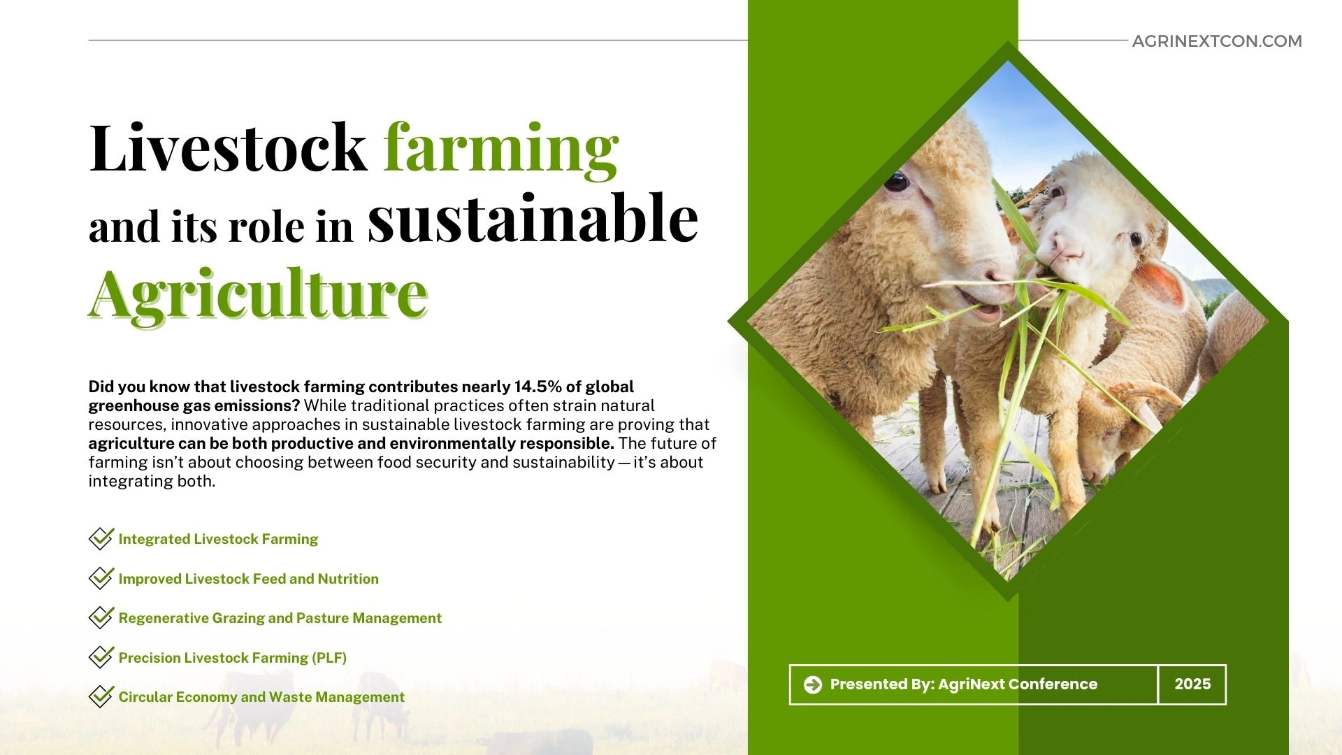 Livestock Farming and its role In Sustainable Agriculture