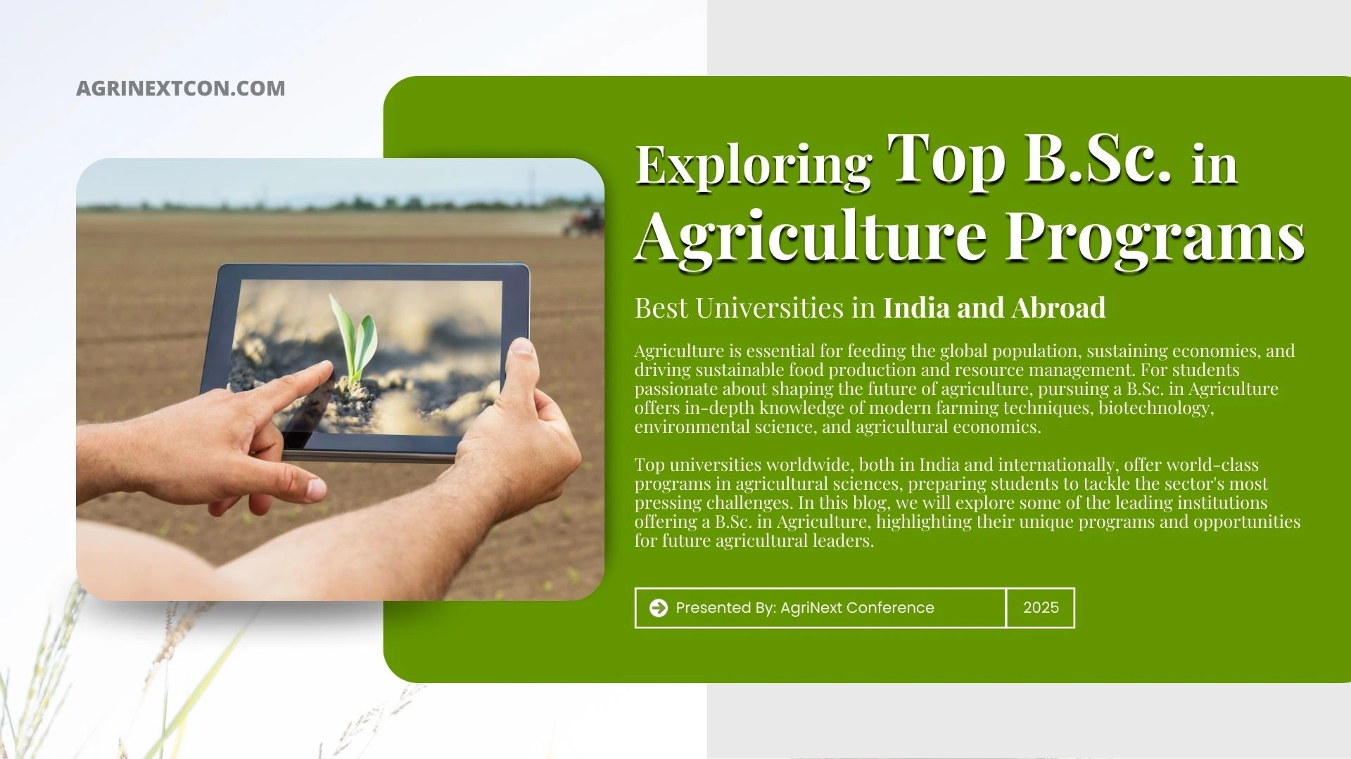 Exploring Top B.Sc. in Agriculture Programs: Best Universities in India and Abroad