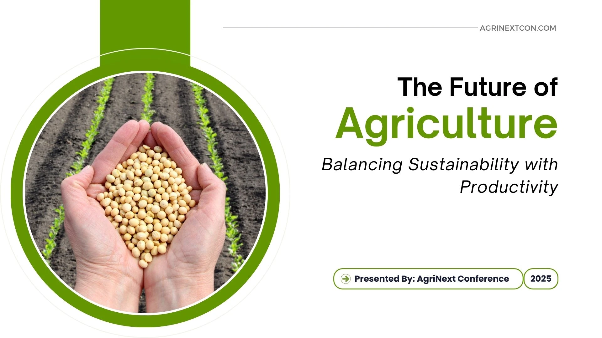 The Future of Agriculture: Balancing Sustainability with Productivity