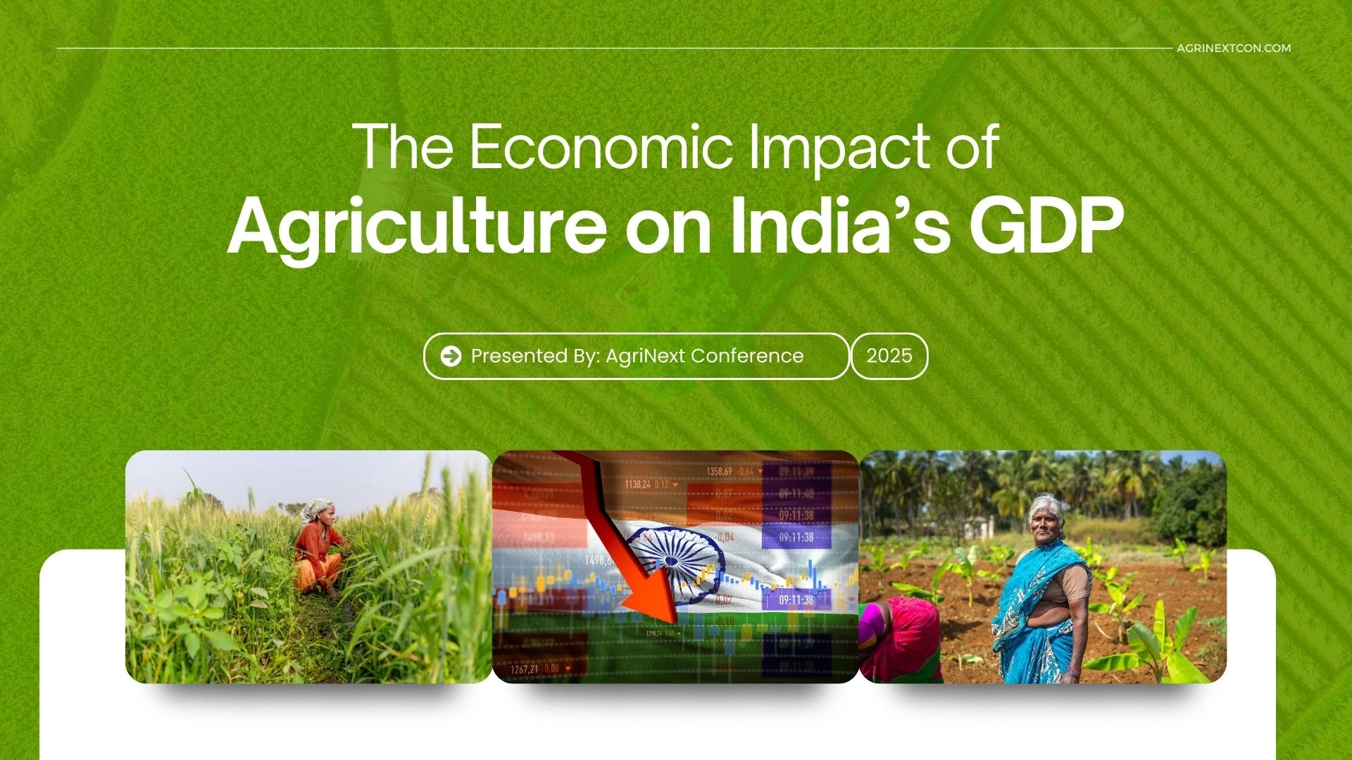 The Economic Impact of Agriculture on India’s GDP