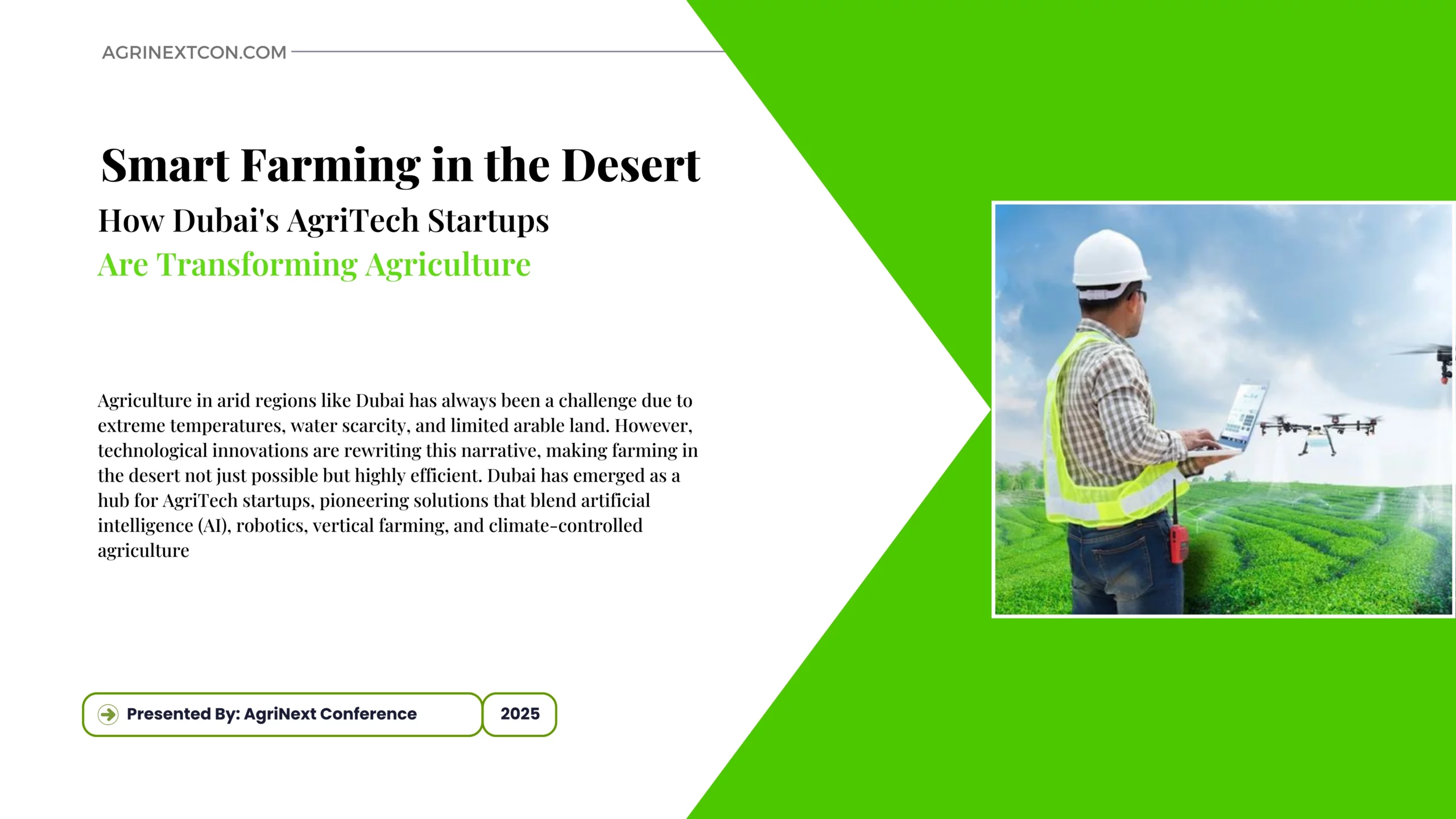 Smart Farming in the Desert: How Dubai's AgriTech Startups Are Transforming Agriculture