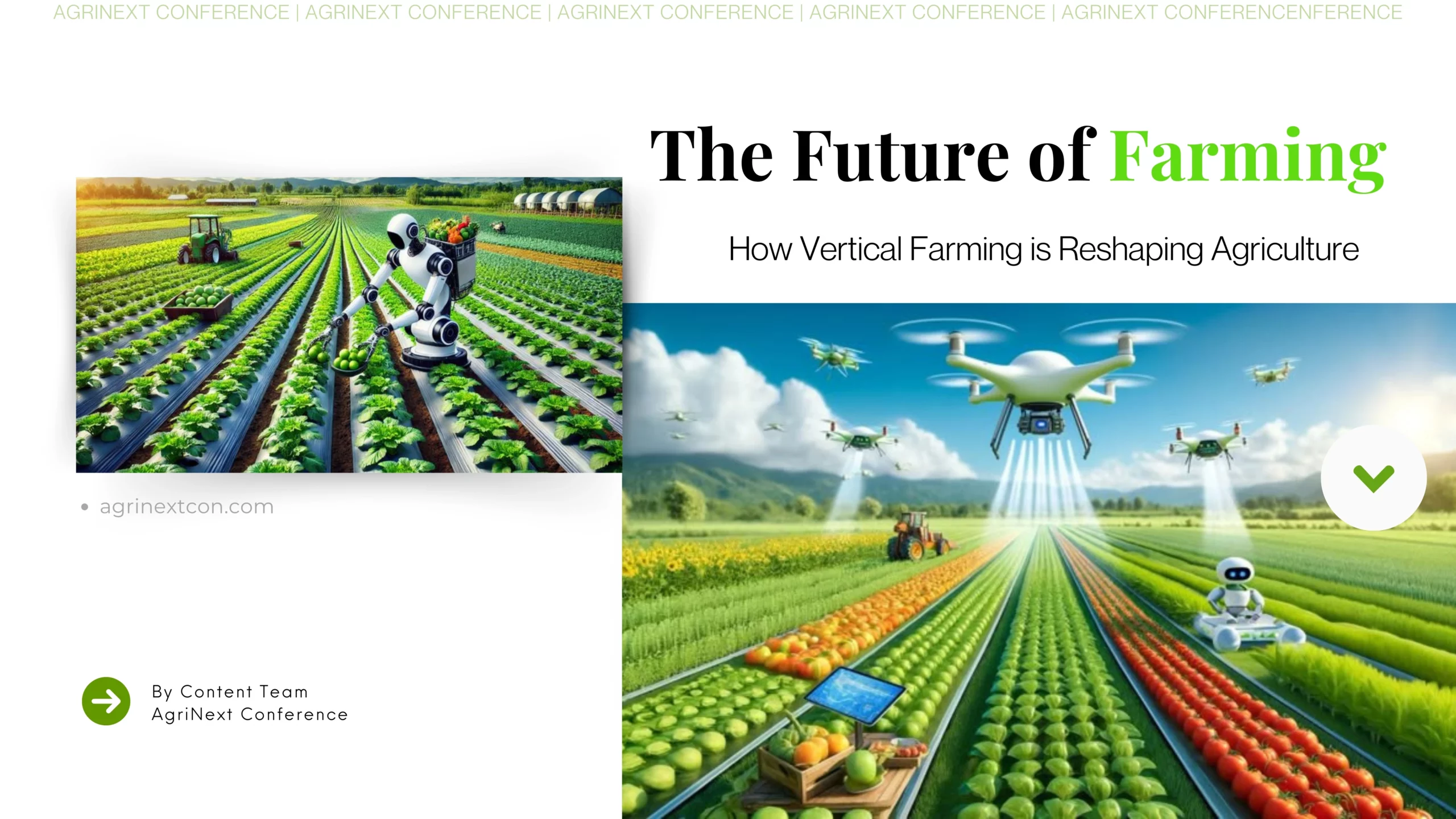 The Future of Farming: How Vertical Farming is Reshaping Agriculture