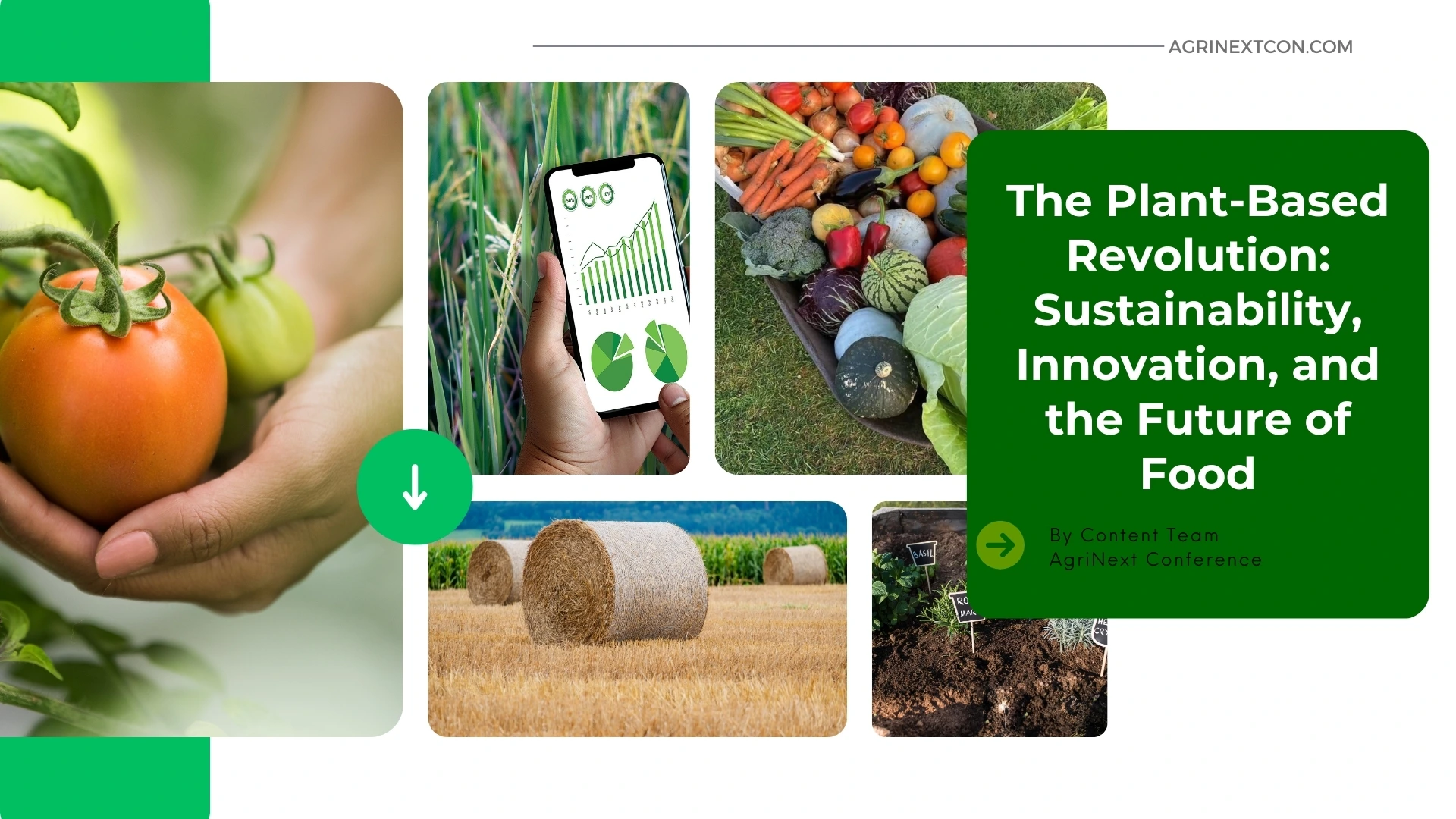 The Plant-Based Revolution: Sustainability, Innovation, and the Future of Food