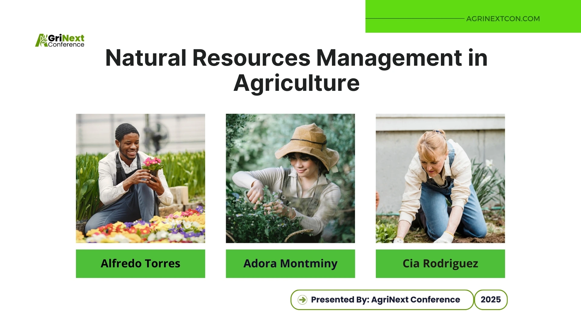Natural Resources Management in Agriculture: Key Strategies for Sustainability