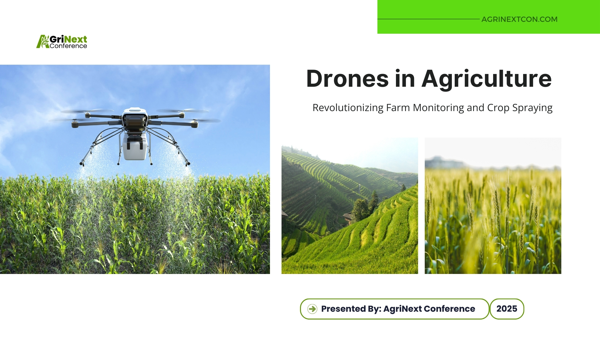 Drones in Agriculture: Revolutionizing Farm Monitoring and Crop Spraying