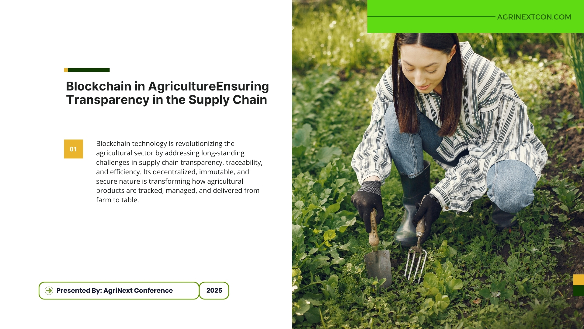 Blockchain in Agriculture: Ensuring Transparency in the Supply Chain