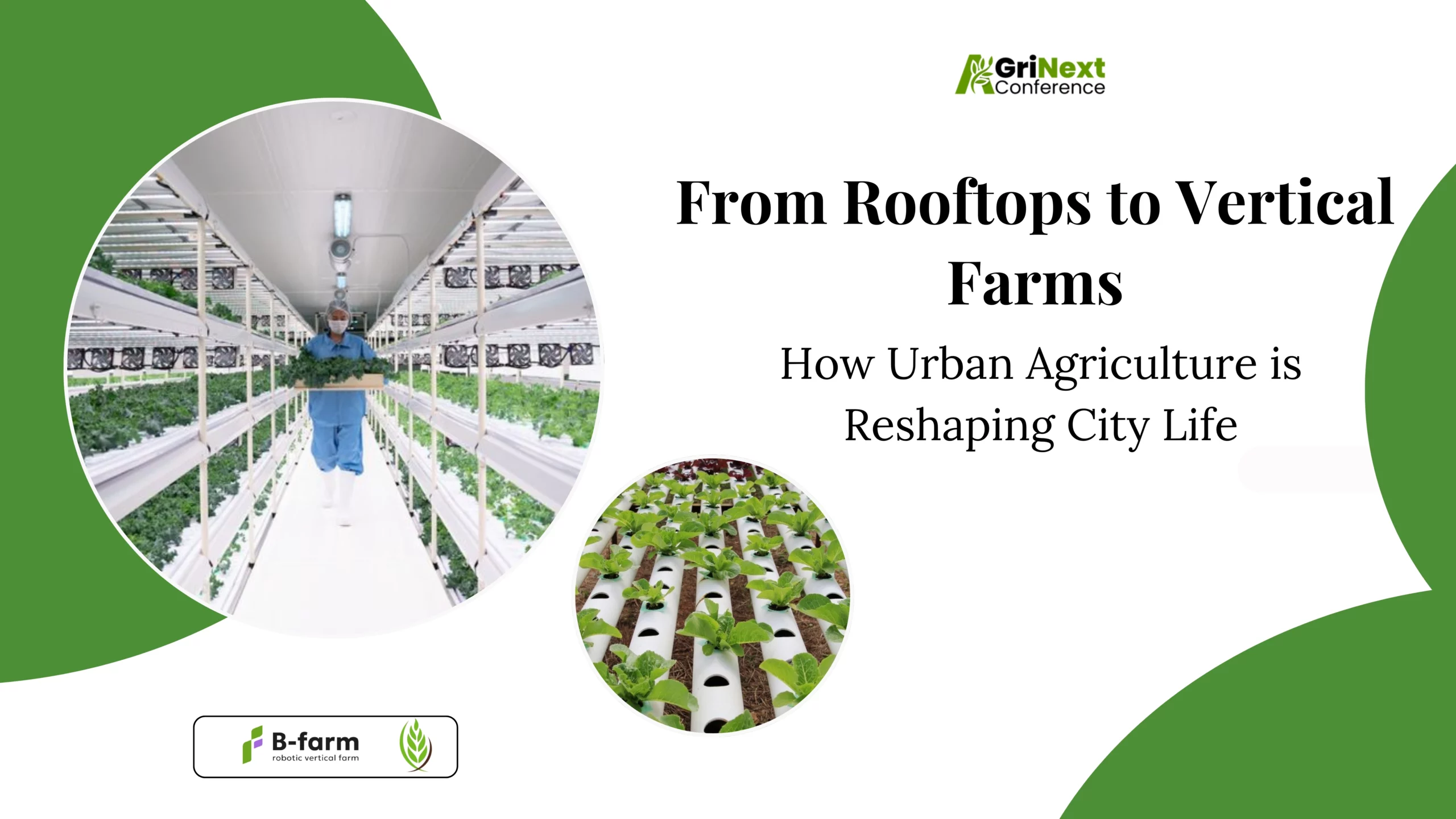 From Rooftops to Vertical Farms: How Urban Agriculture is Reshaping City Life