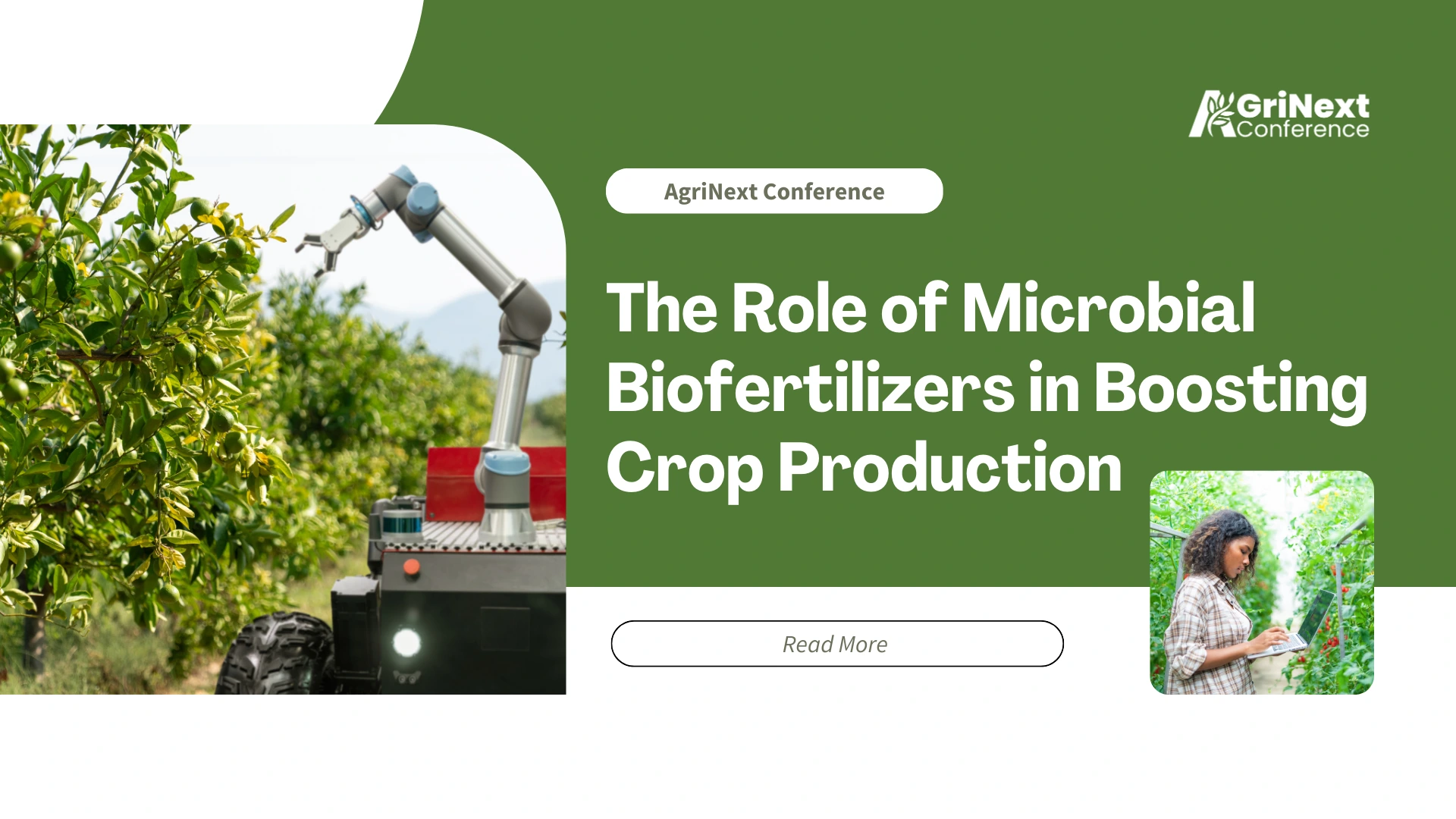 The Role of Microbial Biofertilizers in Boosting Crop Production