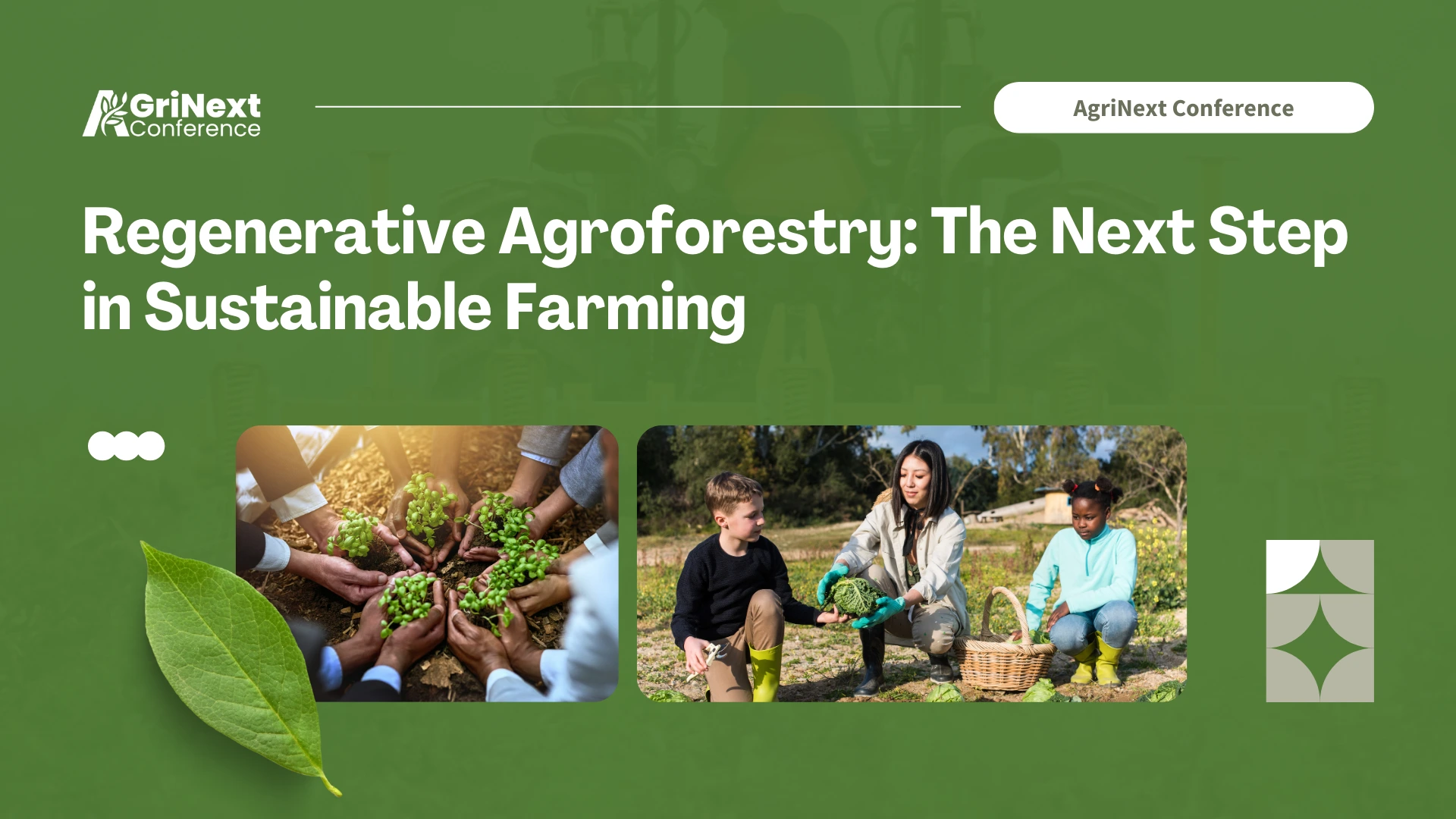 Regenerative Agroforestry: The Next Step in Sustainable Farming