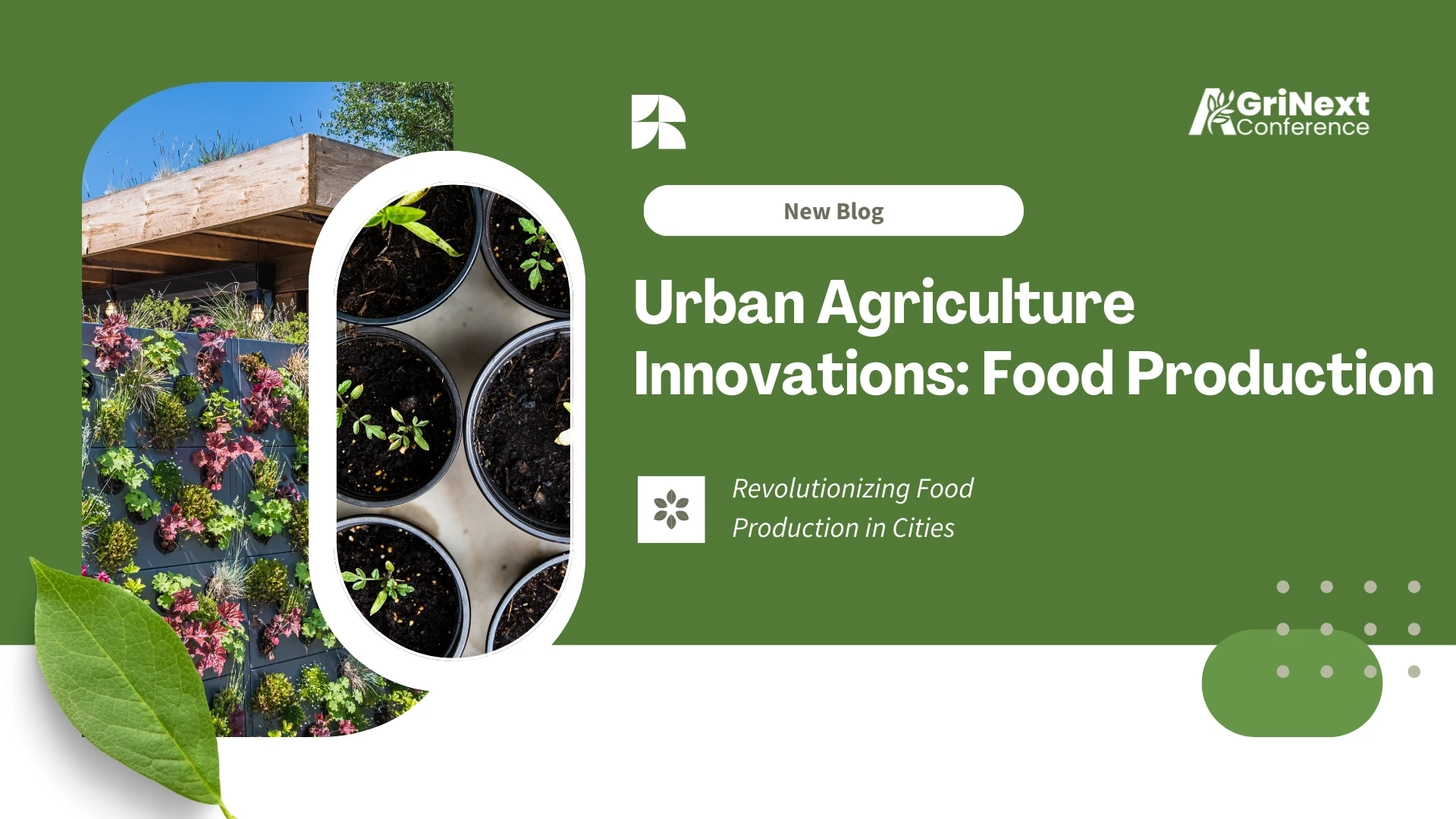 Urban Agriculture Innovations: Revolutionizing Food Production in Cities