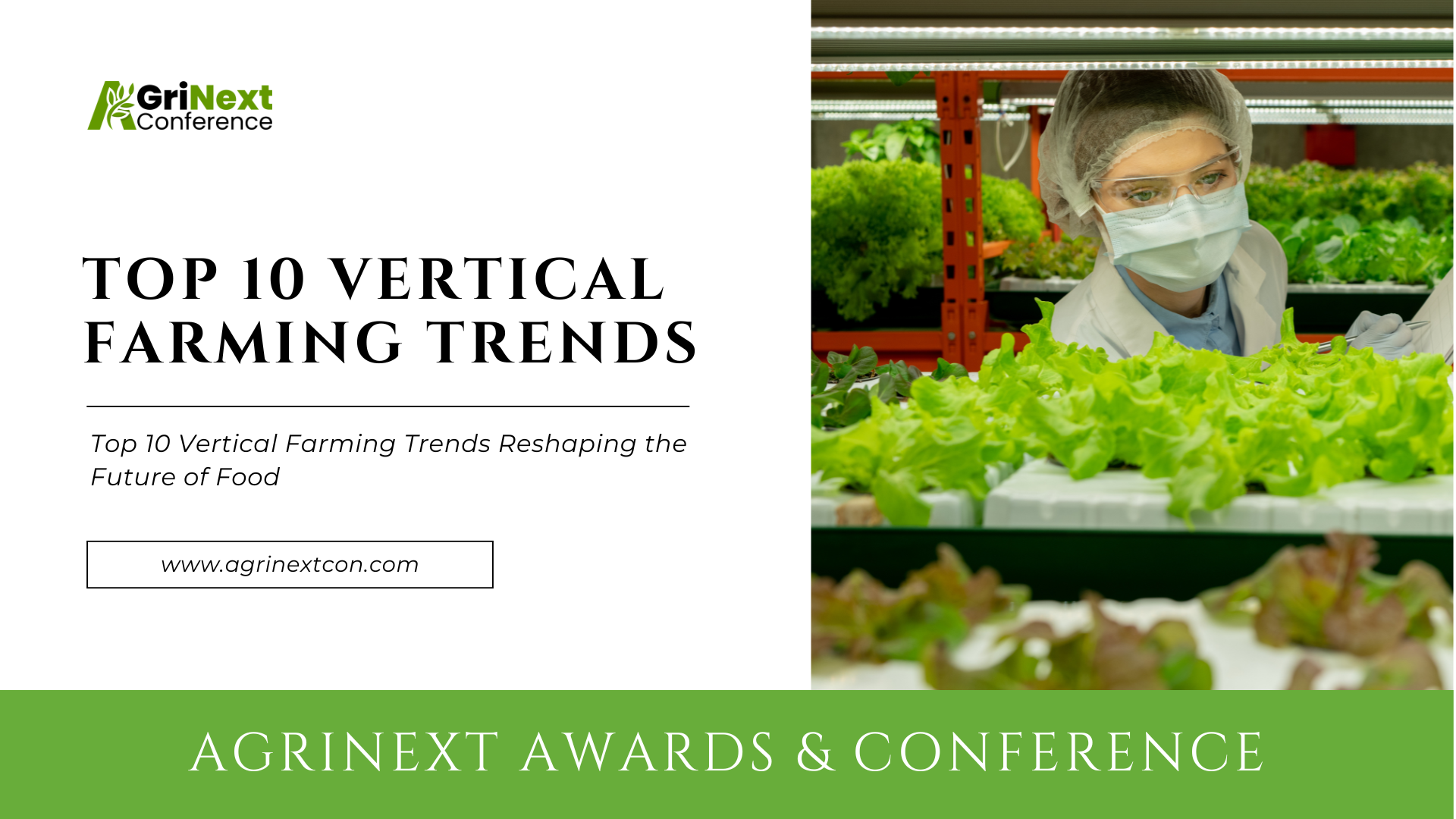 Top 10 Vertical Farming Trends Reshaping the Future of Food