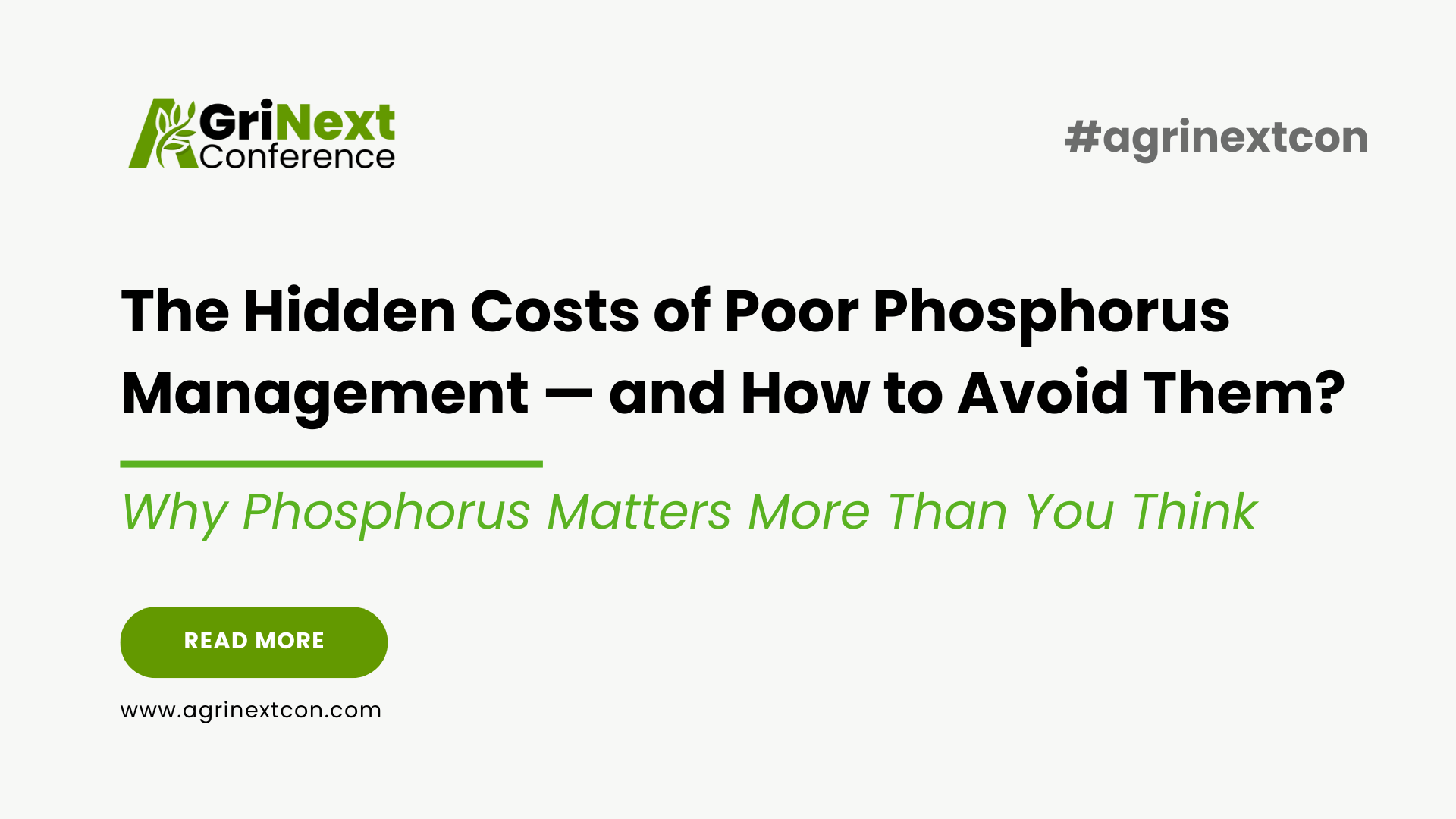 The Hidden Costs of Poor Phosphorus Management — and How to Avoid Them