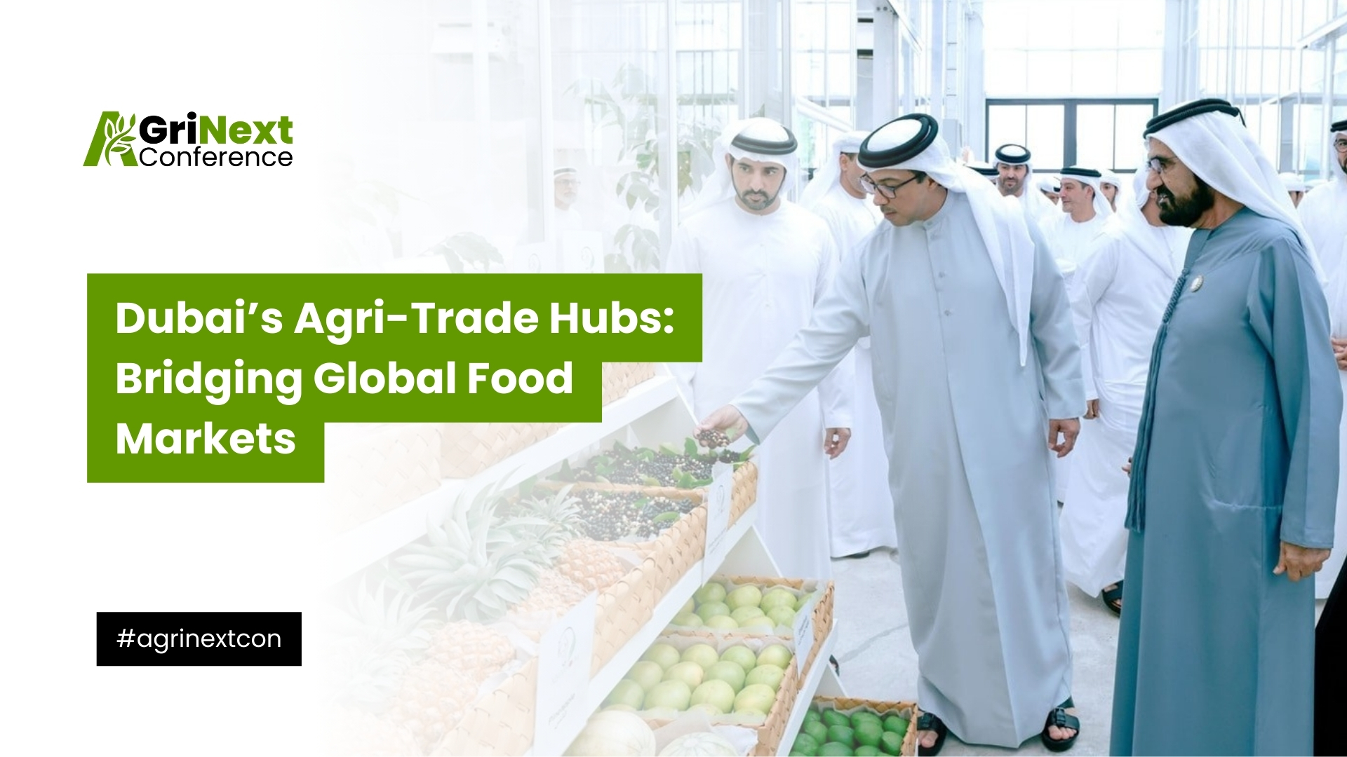 Dubai’s Agri-Trade Hubs: Bridging Global Food Markets